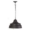 Quillon 1-Light Antique Black Pendant by A & B Home
