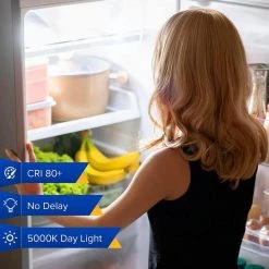 40-Watt Equivalent A11 450 Lumens E26 Base High Efficiency Flame Retardant LED Appliance Light Bulb 5000K (2-Pack) by SANSI -Simple Designs Online Shop sansi appliance light bulbs 01 02 001 045052 fa 1000