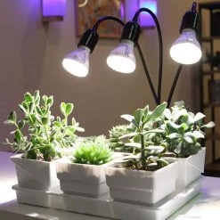 450-Watt Equivalence Full Spectrum 3-Head Gooseneck LED, 30-Watt 4000K Daylight Power Clip-on High PPFD Plant Grow Light by SANSI -Simple Designs Online Shop sansi grow light kits 01 03 001 011013 76 1000